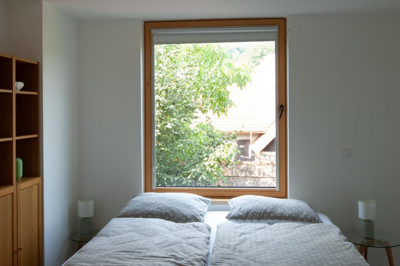 Pension Merano Jetrichovice  Extérieur photo