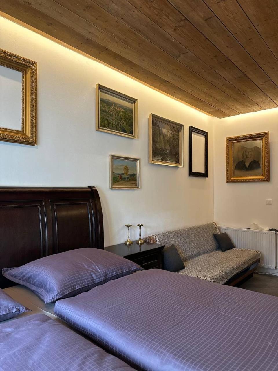 Pension Merano Jetrichovice  Extérieur photo