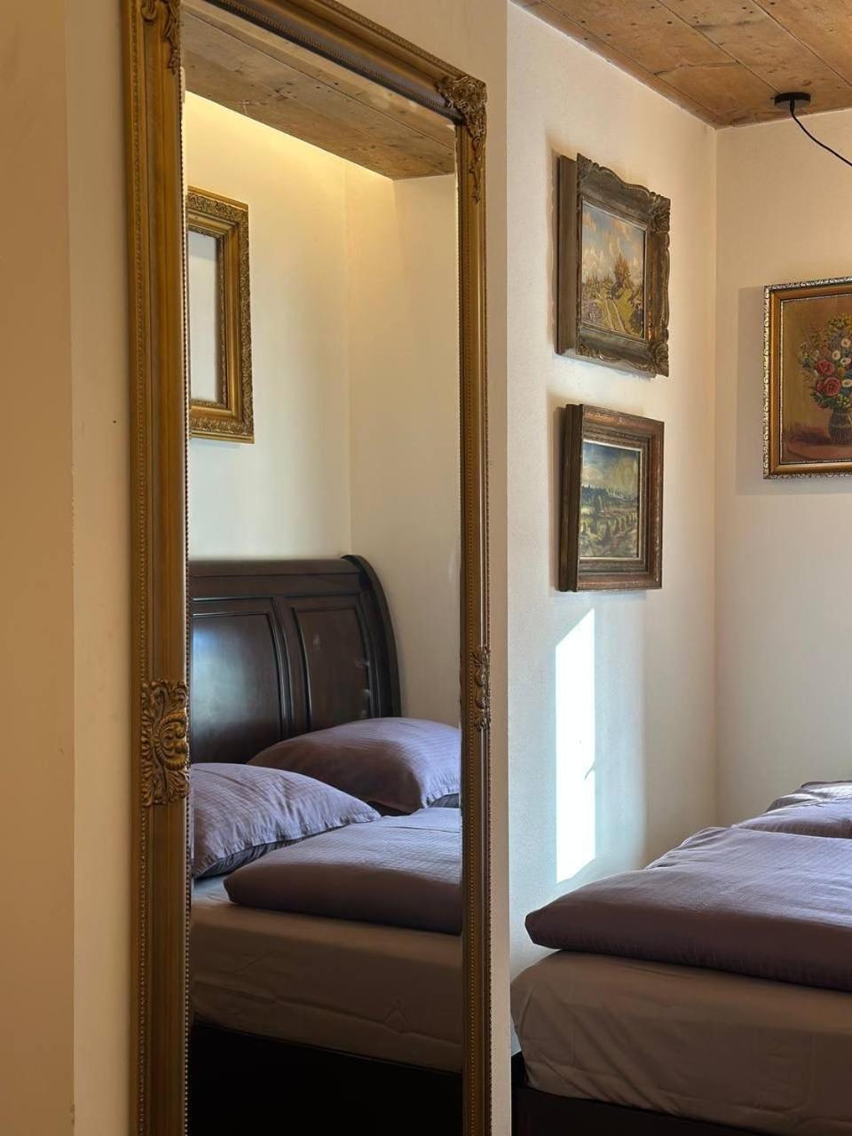 Pension Merano Jetrichovice  Extérieur photo